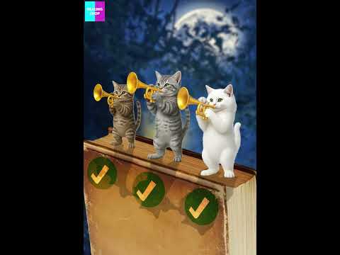 Find the Wrong Tail2🐱🎯/틀린 꼬리를 찾아라2