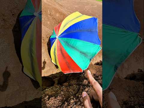 ada yang muter payung dari bawah #trendingshorts