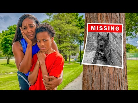 OUR DOG WENT MISSING...