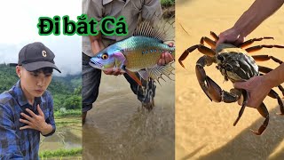 Đi Bắt Cá | Tổng Hợp Video Hay Nhất
