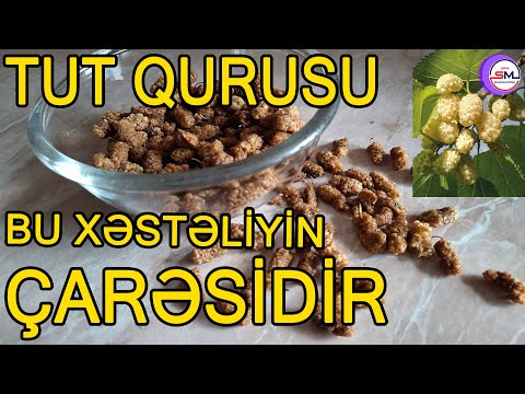 Tut qurusu bu xəstəliklərin çarəsi imiş