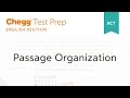 Understanding Paragraph Organization Strategies