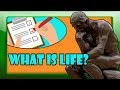 Characteristics and Molecules of Life