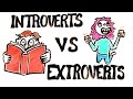 Introversion and Extraversion: A Scientific Perspective
