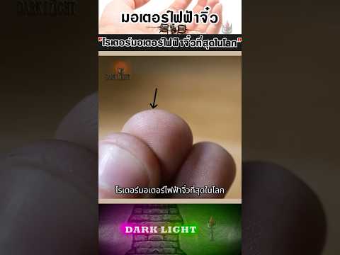 โรเตอร์ของมอเตอร์ไฟฟ้าที่เล็กที่สุดในโลก
