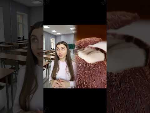 Вона добре вчинила ? 🥹 #шокалка #взаємно #україна #скетч #відносини