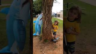 shark #memes #funny #comedy