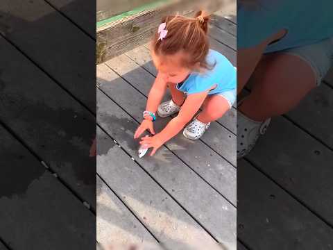 Duck Attacked Little Girl