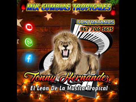 ILUSIONES TONTA TONNY HERNÁNDEZ EL LEÓN DE LA MUSICA TROPICAL