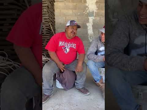 el chiste de los cocodrilos
