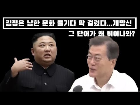 몰래 한국 문화 즐긴 김정은...좌파 진영을 똑 닮은 내로남불...