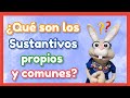Nouns: Common and Proper Identification
