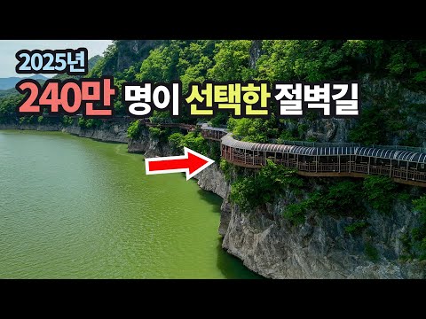 🛑🚞발밑은 낭떠러지! 절벽위 잔도, 왜 이렇게 인기일까? 🛑6월에만 열리는 금계국꽃길