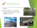 Exploring Population Ecology and Dynamics