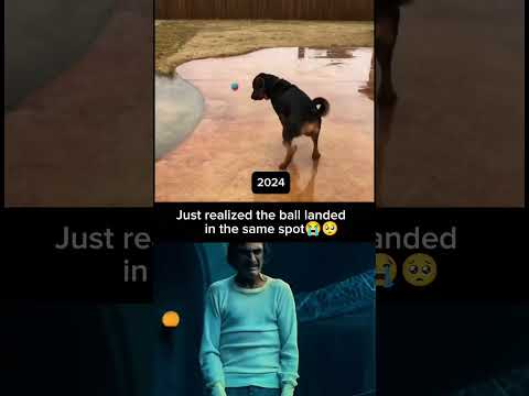 Just realized the ball landed in the same spot💔😭 #dog #doglover #shorts
