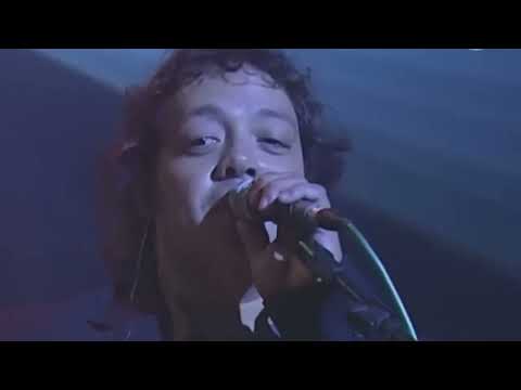 Leo Mattioli y Dalila - Te Necesito (en vivo)