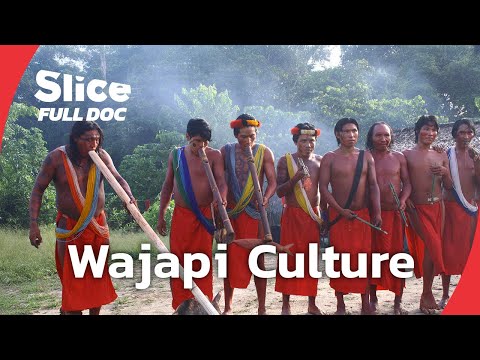 YouTube video thumbnail: The Wajapi: Paint, Symbols & Indigenous Identity