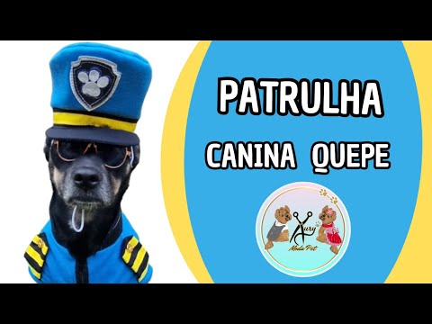 Passo a Passo Quepe Patrulha Canina | Boné Pet | Aury Moda Pet | Roupas Pet