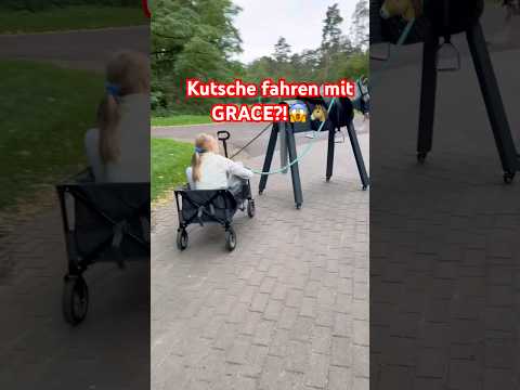 Kutsche fahren mit #holzpferd ?😱 #woodenhorse #equestrian #viral #fyp #horse #pony #pferde #pony