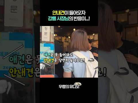 강릉 사장님 같은 분이 한국에 많아질 필요성👏🏻 #shorts