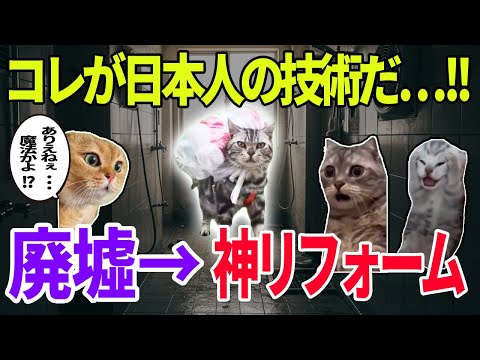 ボロボロのシャワー室がまさかの大変身!→日本人の職人魂に寮が騒然！猫ミーム#海外の反応