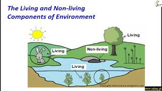 The Living and Non-living Components of  Environment