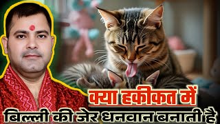 क्या हकीकत में बिल्ली की जेर धनवान बनती है | Billi Ki Jer Ke Fayde | Billi Ki Jer Kaisi Hoti Hai 
