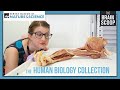 Exploring the Denver Museum of Nature and Science
