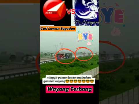 Bus Agra Mas VS PO Haryanto Balapan #driver #truck #bus #shorts #viral #fyp #short #heavydriver