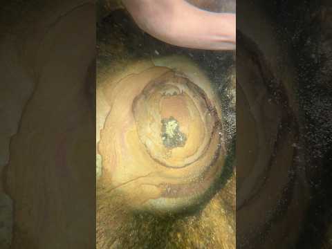 gold discovery | gold rush ,! ๐ฑ๐ฑ๐ฑ #gold #rush #discovery