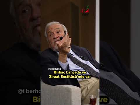 "Rize'de çay may yetişmez." I İlber Ortaylı I Videonun tamamı için; @turkishbusinesscouncildubai