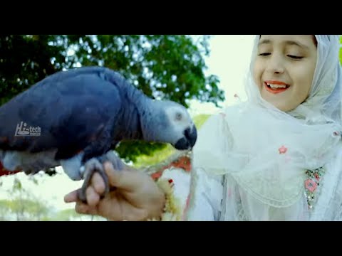 Aayat Fatima | Mera Pyara Mithu | 2025 New Heart Touching Beautiful Naat | Hi-Tech Islamic Naat