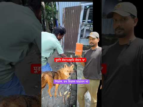 মুরগি বাঁচান, প্রকৃতি বাঁচান 🐓🌍  চোর-শিয়াল দূরে যাবে, খামার থাকবে নিরাপদ ⚡  👉 ইলেকট্রিক ফেন্স –