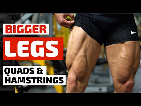 Build Bigger Legs - Massive Quads & Hamstrings Workout