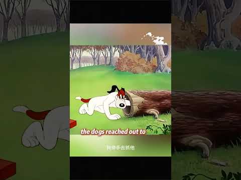 This is the most invincible fox in the animation world.