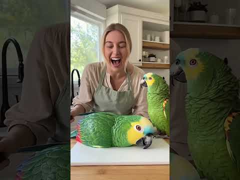 🦜😂 El loro GRITA cuando cortan un pastel con su forma… “¡Ese es mi PRIMO!” | ParroTude