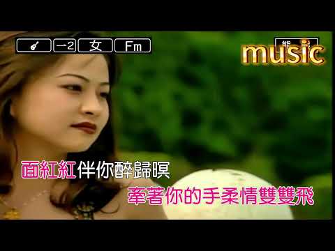 雙雙飛-張蓉蓉KTV 伴奏 no vocal 無人聲 music 純音樂 karaoke 卡拉OK 伴唱 カラオケ instrumental雙雙飛-張蓉蓉