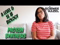 Protein Synthesis Concepts