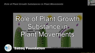 Role of Plant Growth Substance in Plant Movement