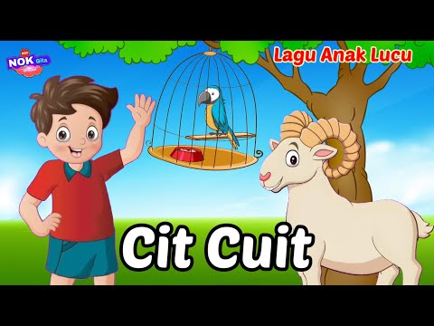 Lagu Anak 🇮🇩 Cit Cit Cuit  Lagu Anak Viral - Lagu Anak-Anak Lucu 2024