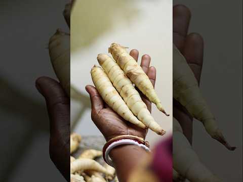 অ্যারারুট গাছ দেখেছেন কখনো? #arrowroot #village #farming
