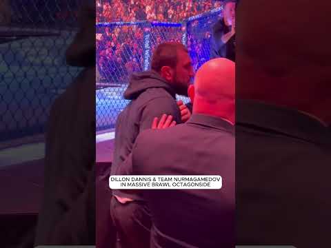 Dillon Dannis & Team Nurmagomedov BRAWL Octagon-side at UFC 322