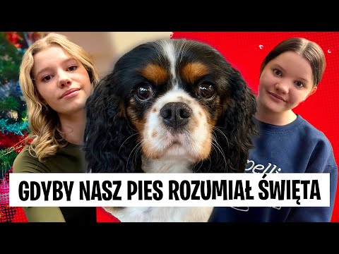 Gdyby Nasz Pies Rozumiał Święta