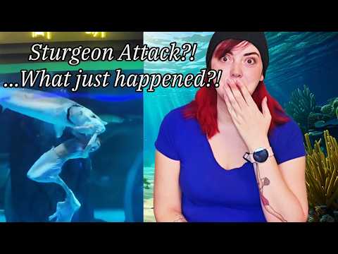 Professional Mermaid Reacts: Sturgeon Attacks Mermaid Viral Video