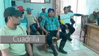 Grupos Especializados