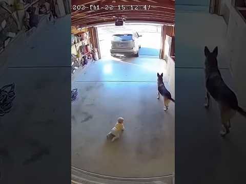 Phillies land All-Star closer Jhoan Duran ahead of MLB trade deadline 👀🔥 #JhoanDuran