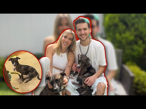 ¡ADOPTAMOS UN NUEVO PERRO! (VLOG #301)