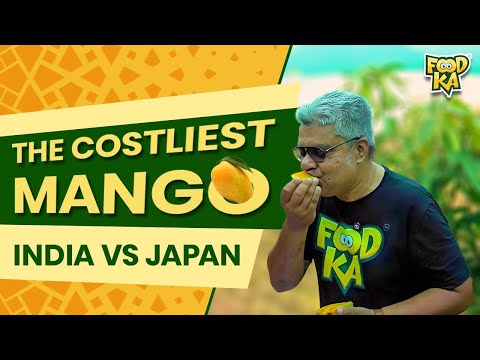 The costliest mango I Kohitoor and Miyazaki | Foodka