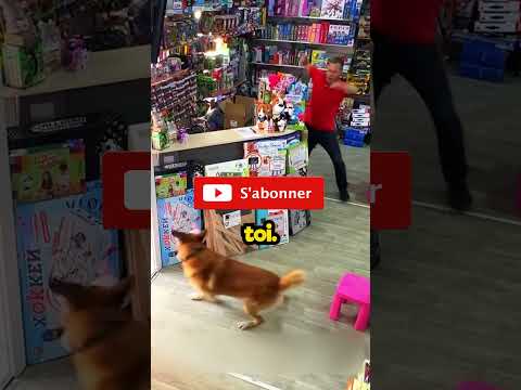 La preuve qu'il ne faut jamais juger quelqu'un trop vite