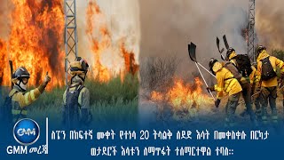 GMM TV ETHIOPIA : ስፔን በከፍተኛ ሙቀት የተነሳ 20 ትላልቅ ሰደድ እሳት በመቀስቀሱ በርካታ ወታደሮች እሳቱን ለማጥፋት ተሰማርተዋል ተባለ::